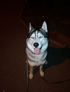 Ищем девочку для связки ЦЕНА ДОГОВОРНАЯ!!!