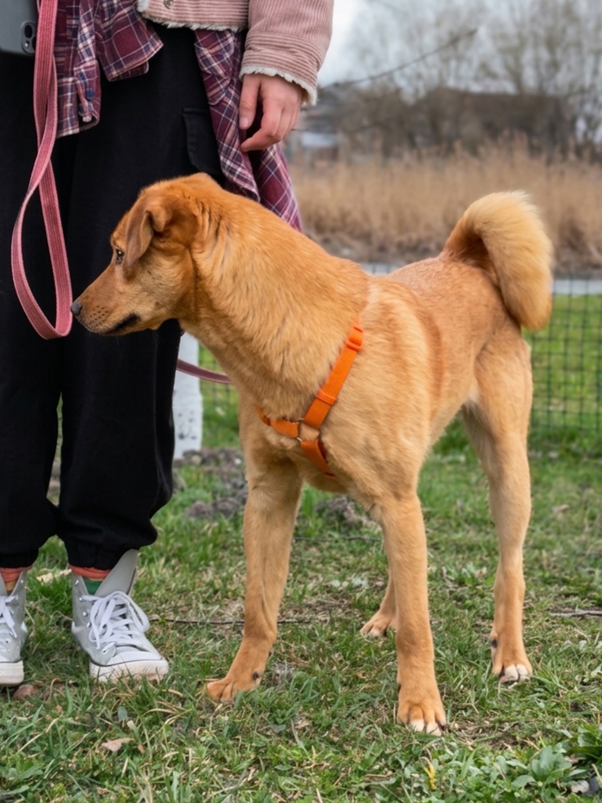 Дуже гарний рудий Лукас!