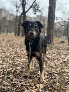 Молода Меггі шукає родину!