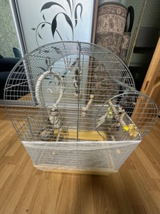 Віддам корел безкоштовно