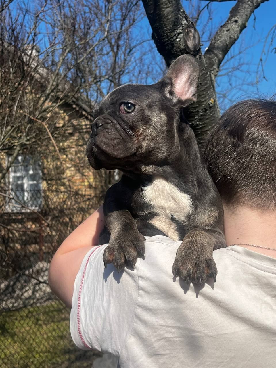 Маленькі хлопці з великим серцем