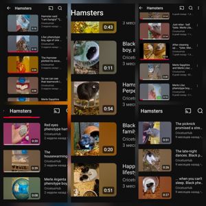 Обирай Розкішного Хома по відео