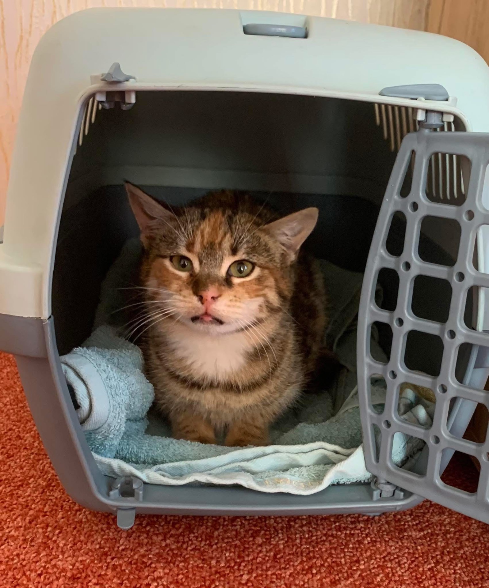 Перевтілення