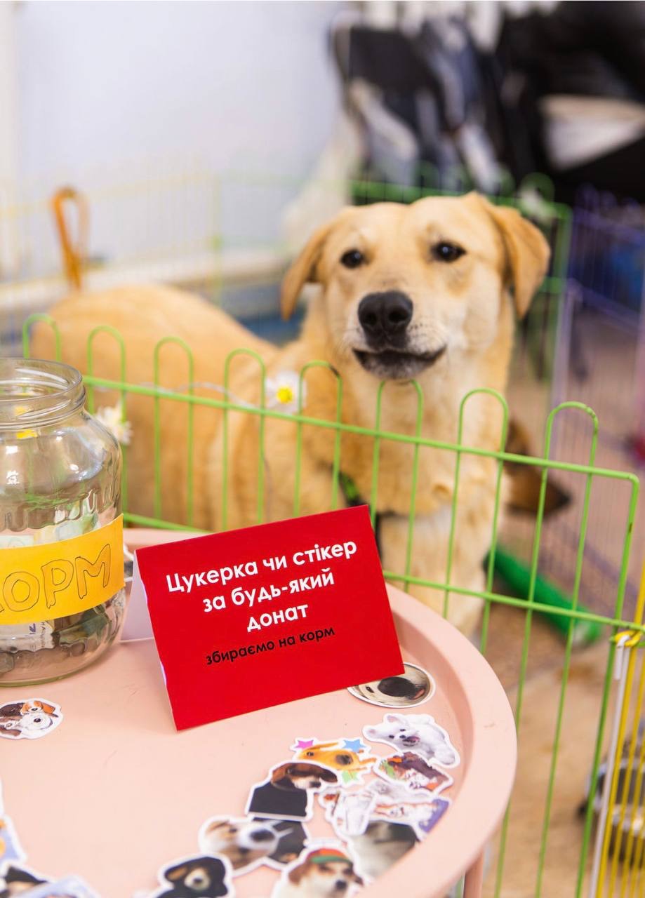 Милий Бруно мріє про родину!