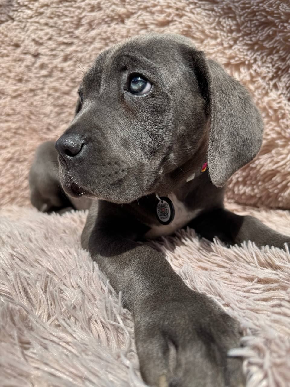 Чудова дівчинка! Пакет документів