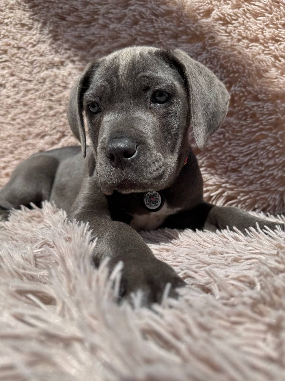 Чудова дівчинка! Пакет документів