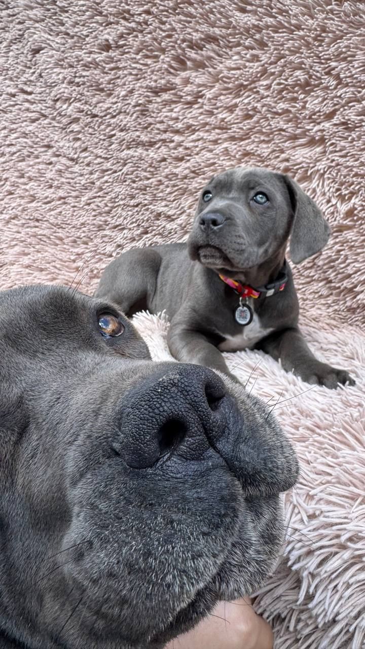 Чудова дівчинка! Пакет документів