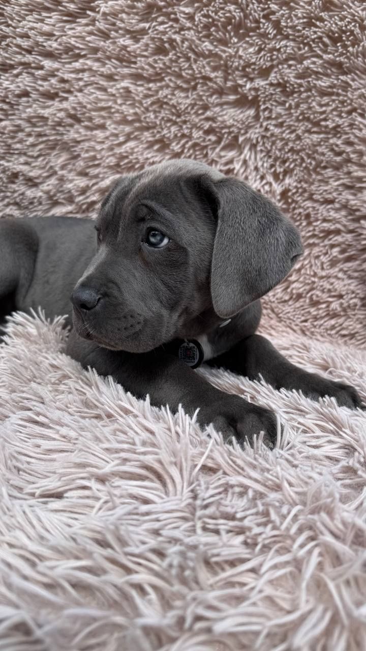 Чудова дівчинка! Пакет документів