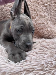 Чудова дівчинка! Пакет документів