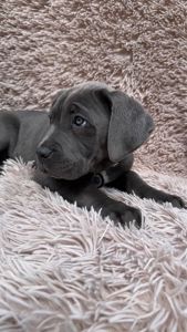 Чудова дівчинка! Пакет документів