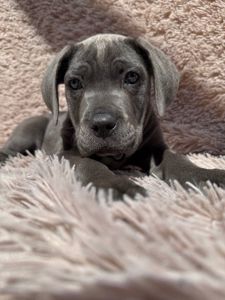 Чудова дівчинка! Пакет документів