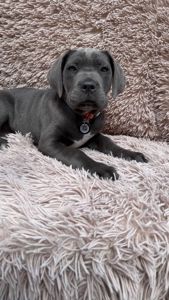 Чудова дівчинка! Пакет документів