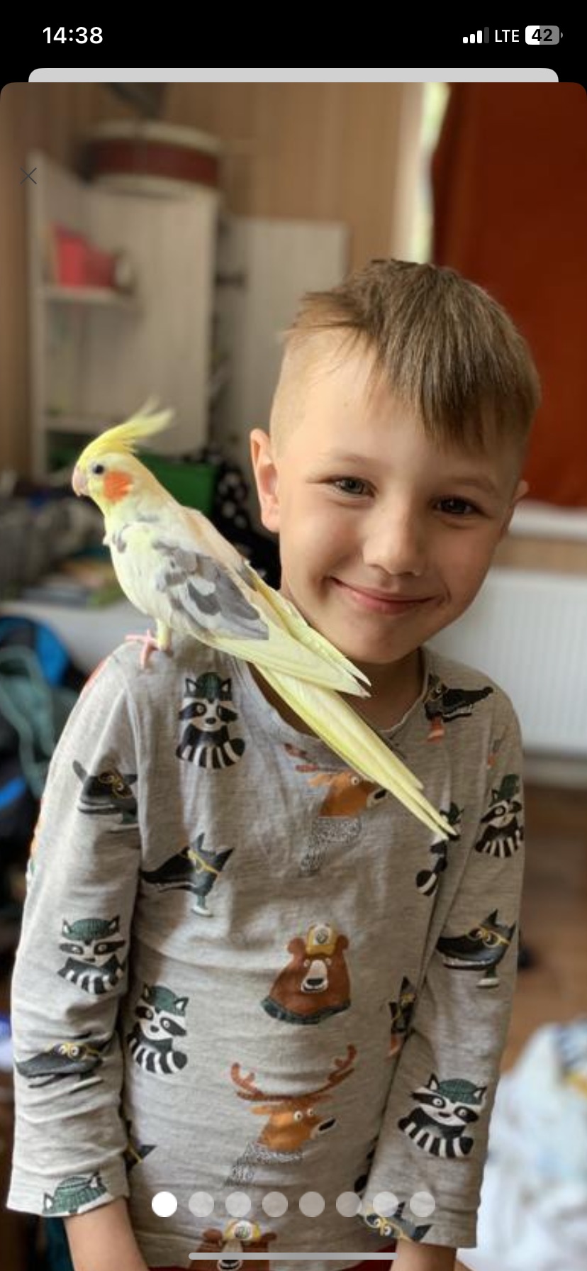 Корели, пара