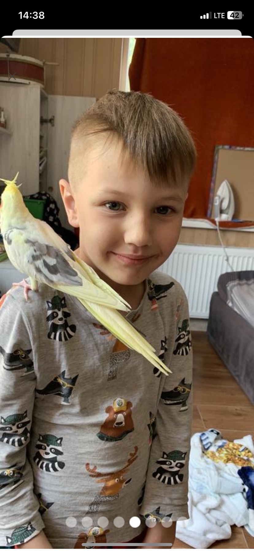 Корели, пара