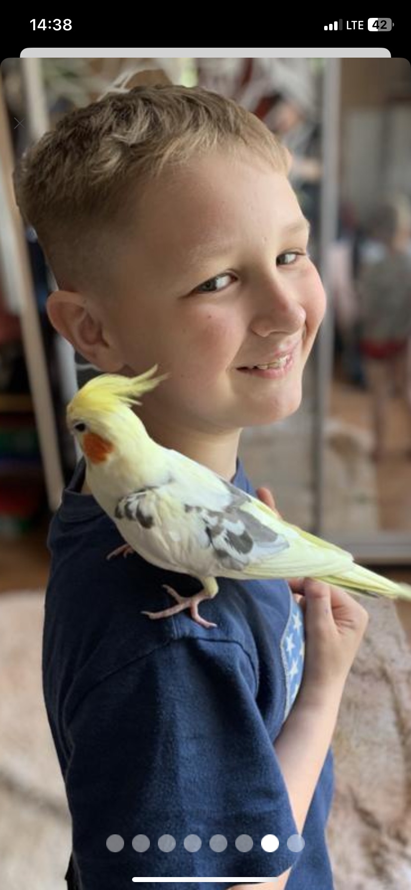 Корели, пара