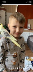 Корели, пара