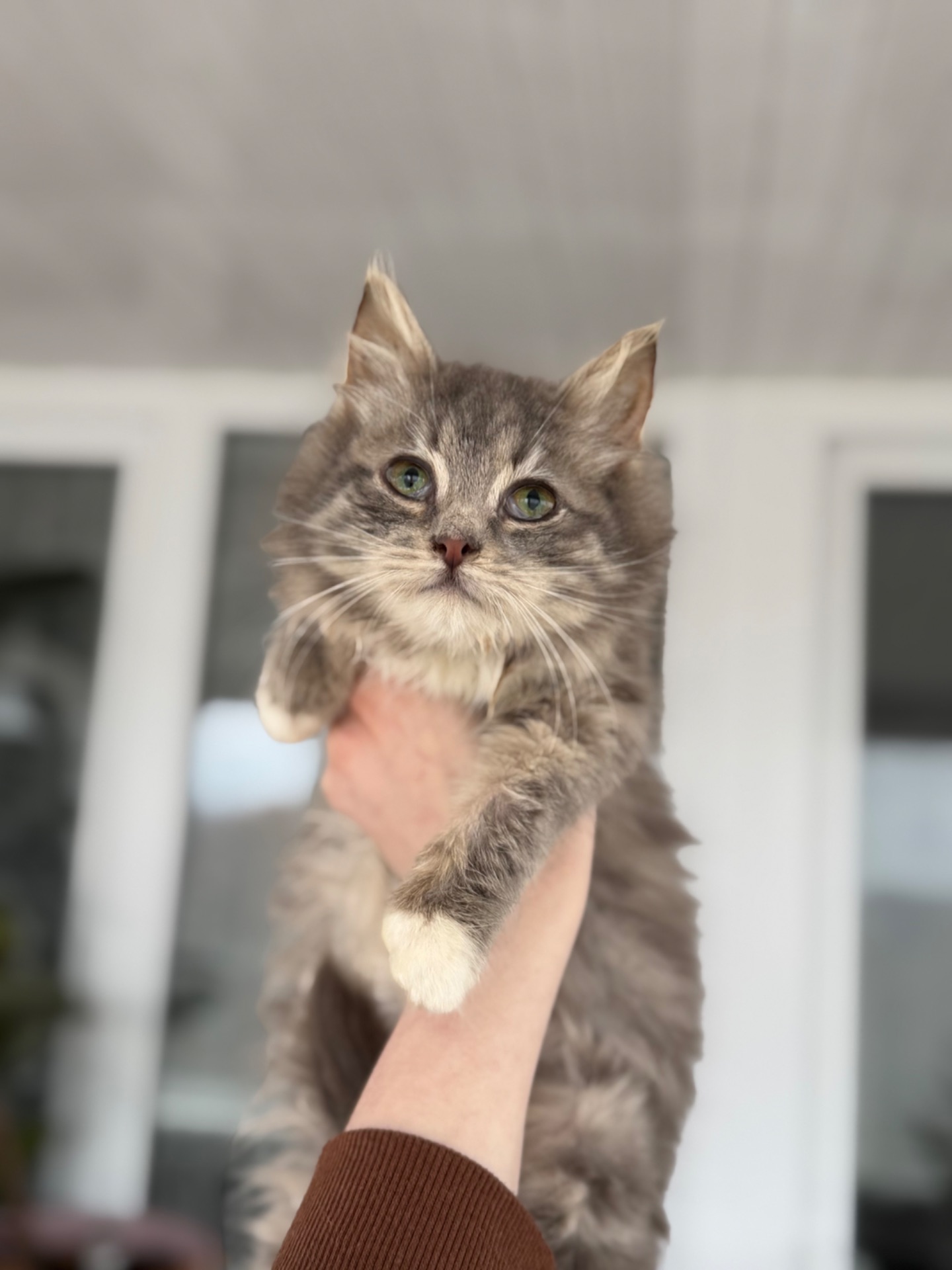 Хлопчик Деніалс шукає дім!