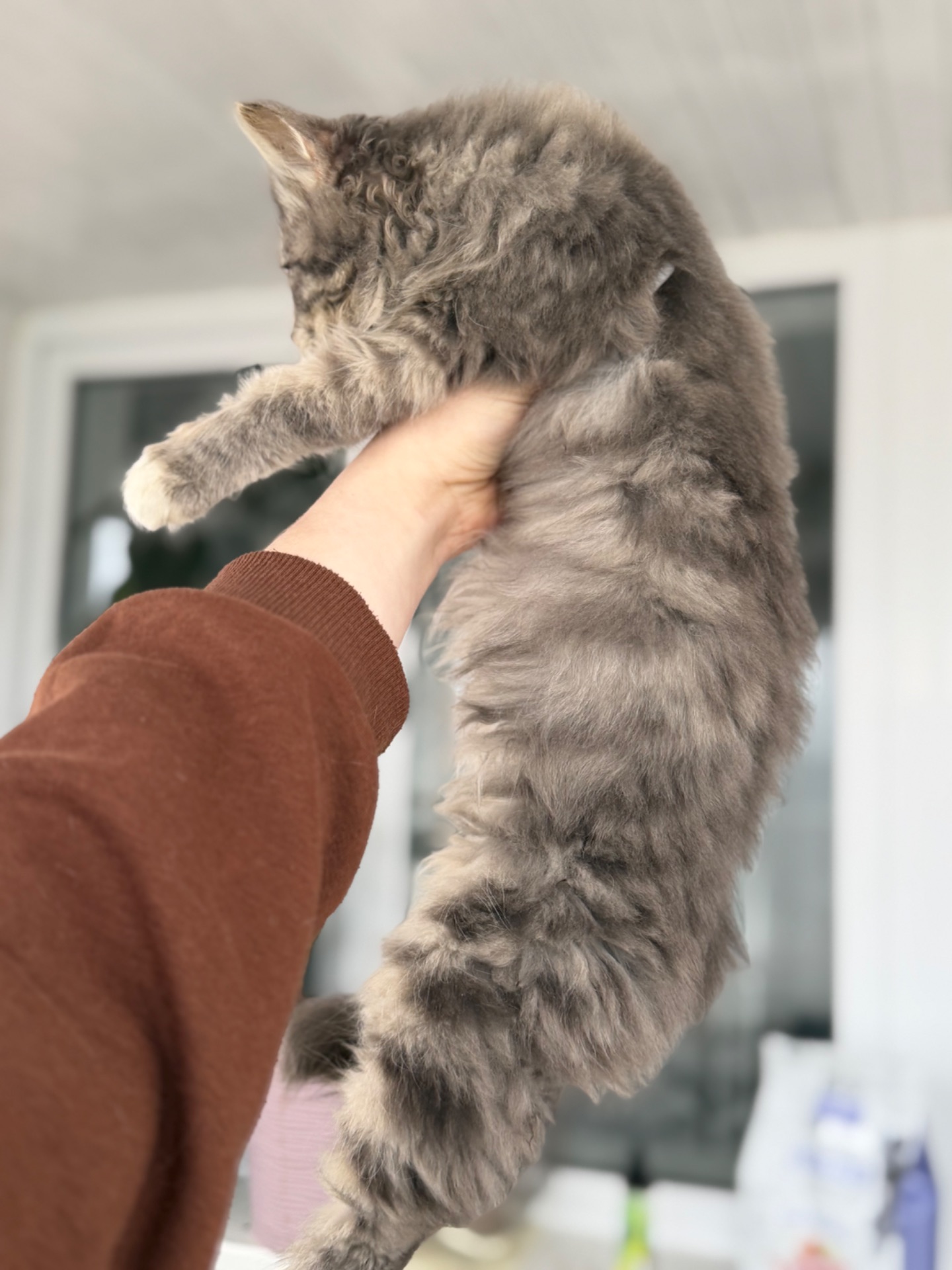 Хлопчик Деніалс шукає дім!