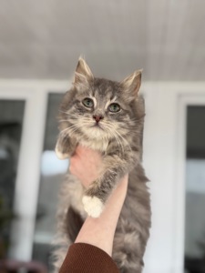 Хлопчик Деніалс шукає дім!