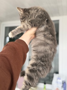 Хлопчик Деніалс шукає дім!