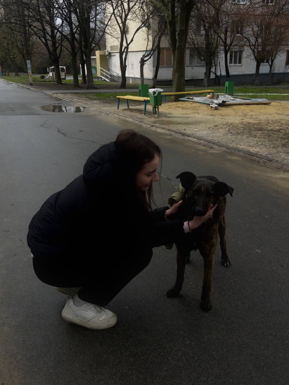 Собачка в добрые руки