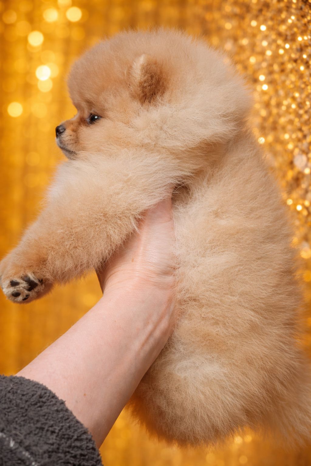 Розкiшний малюк!