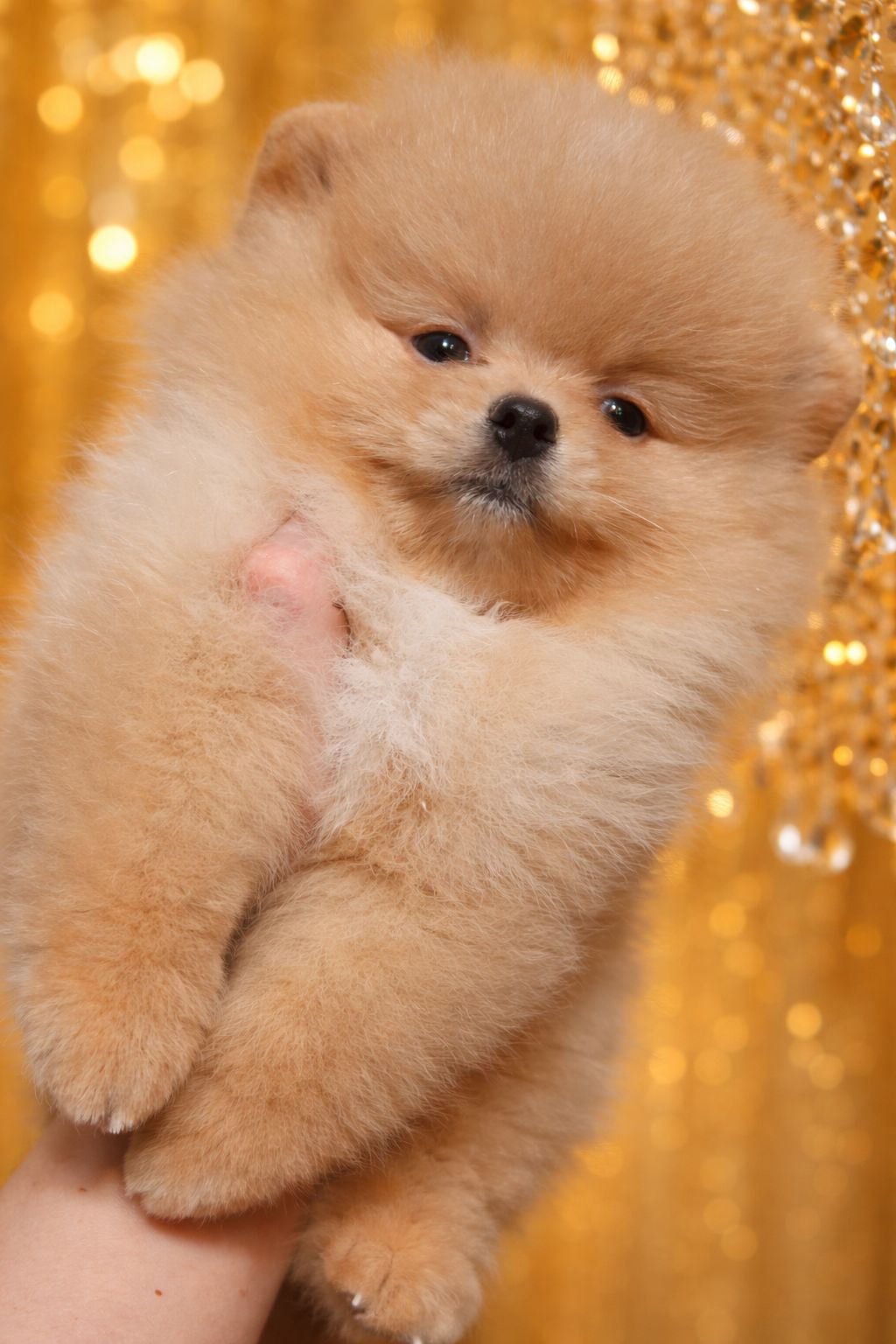 Розкiшний малюк!