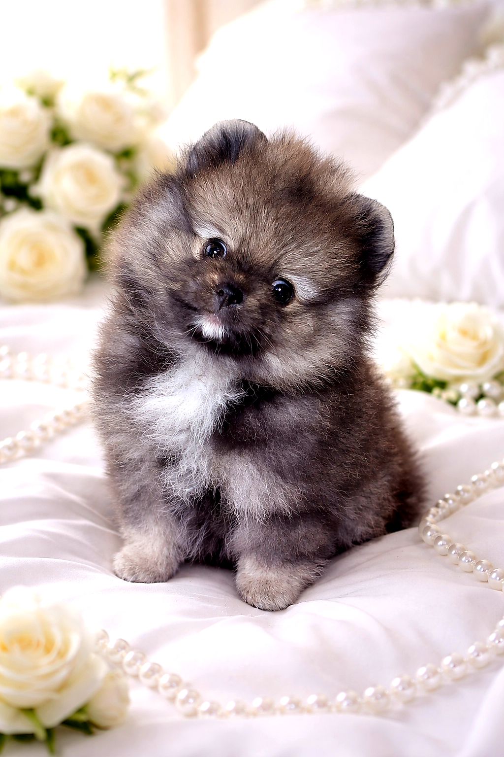 Неймовiрний красунчик!