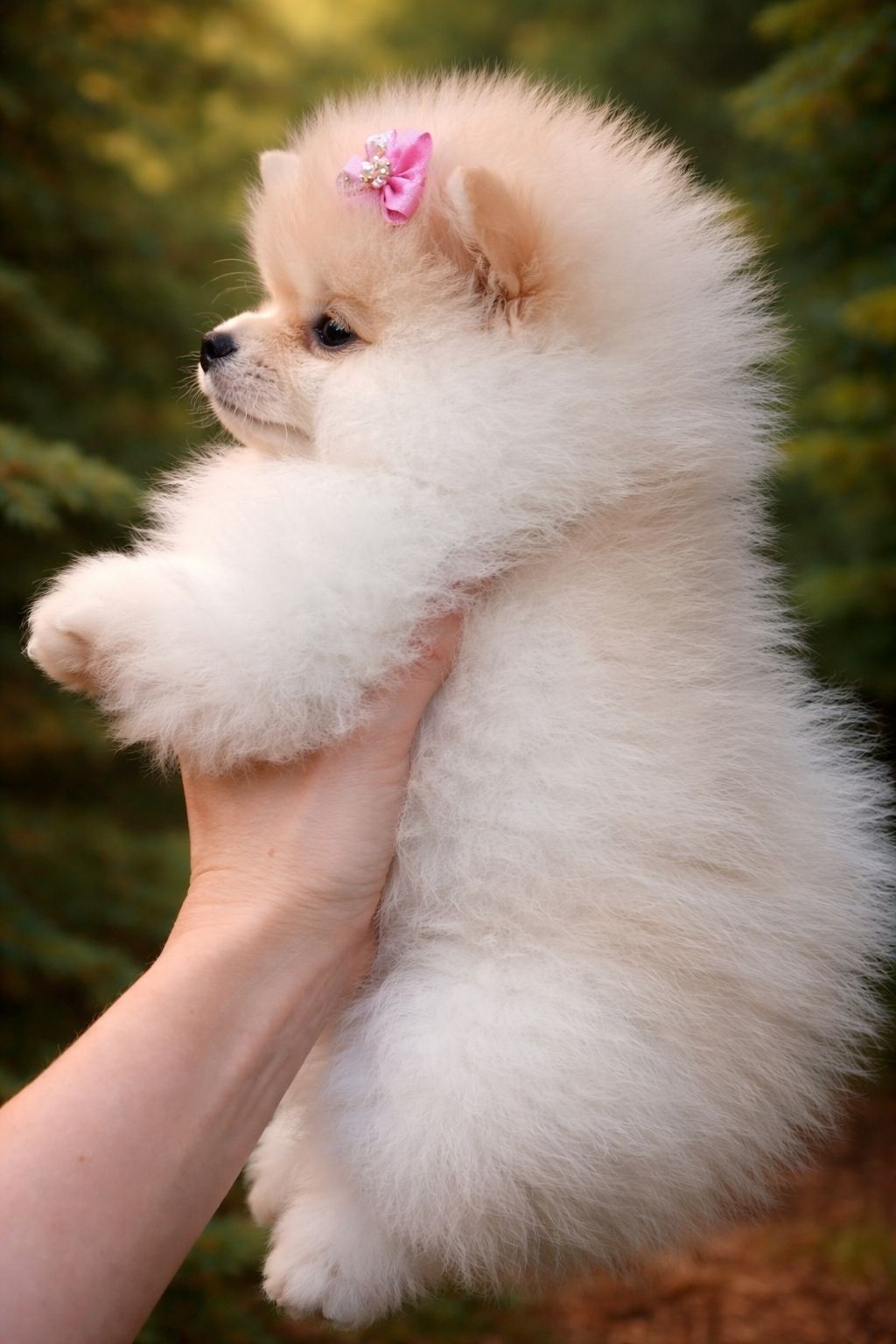 Найгарнiша красуня!