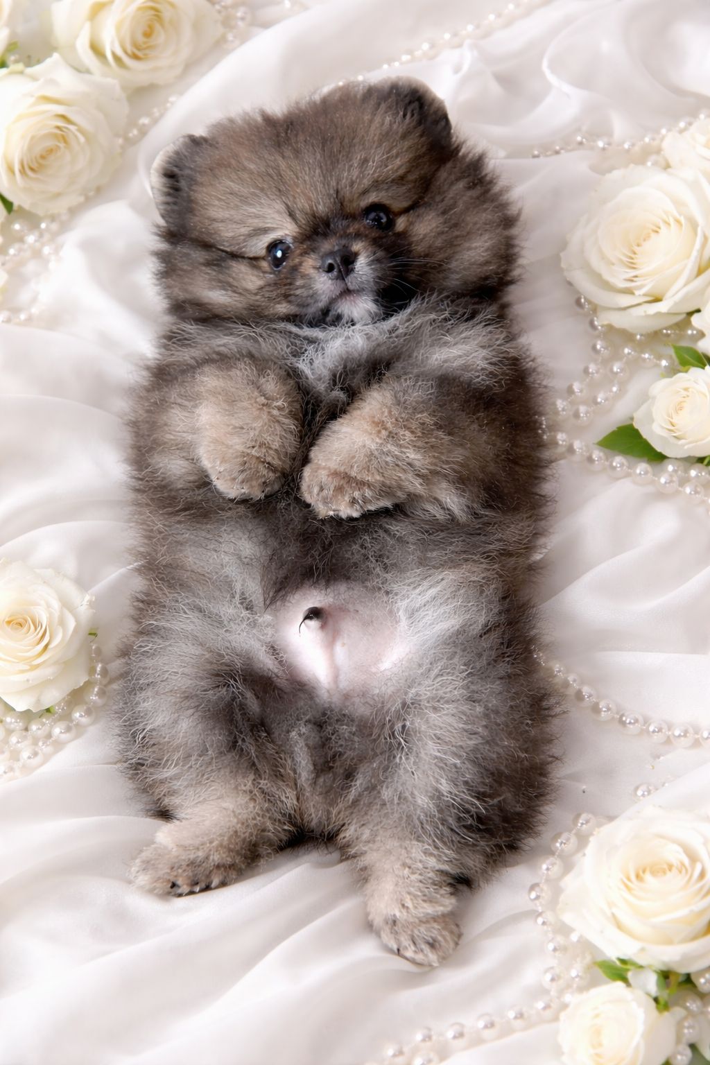 Неймовiрний красунчик!