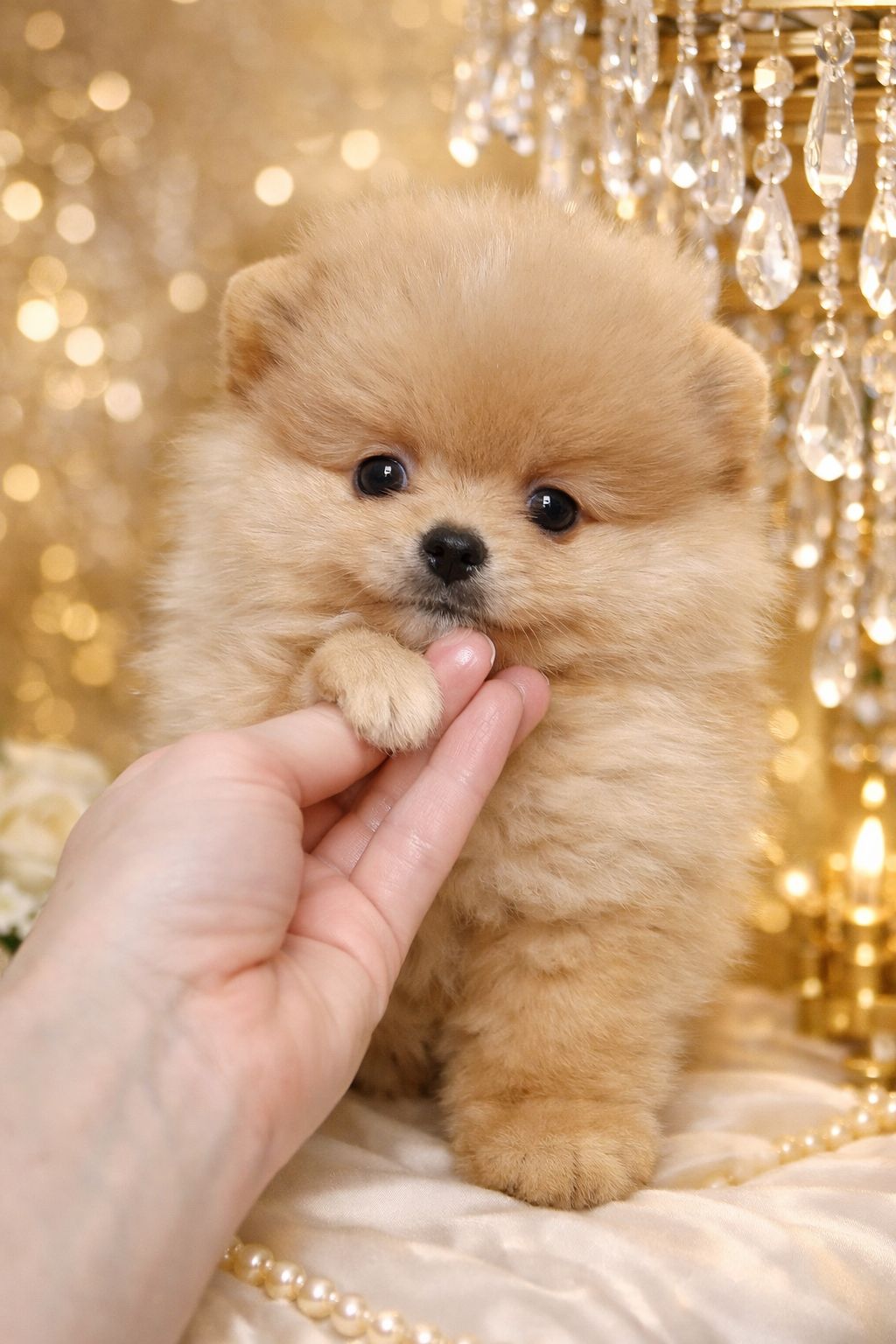 Розкiшний малюк!