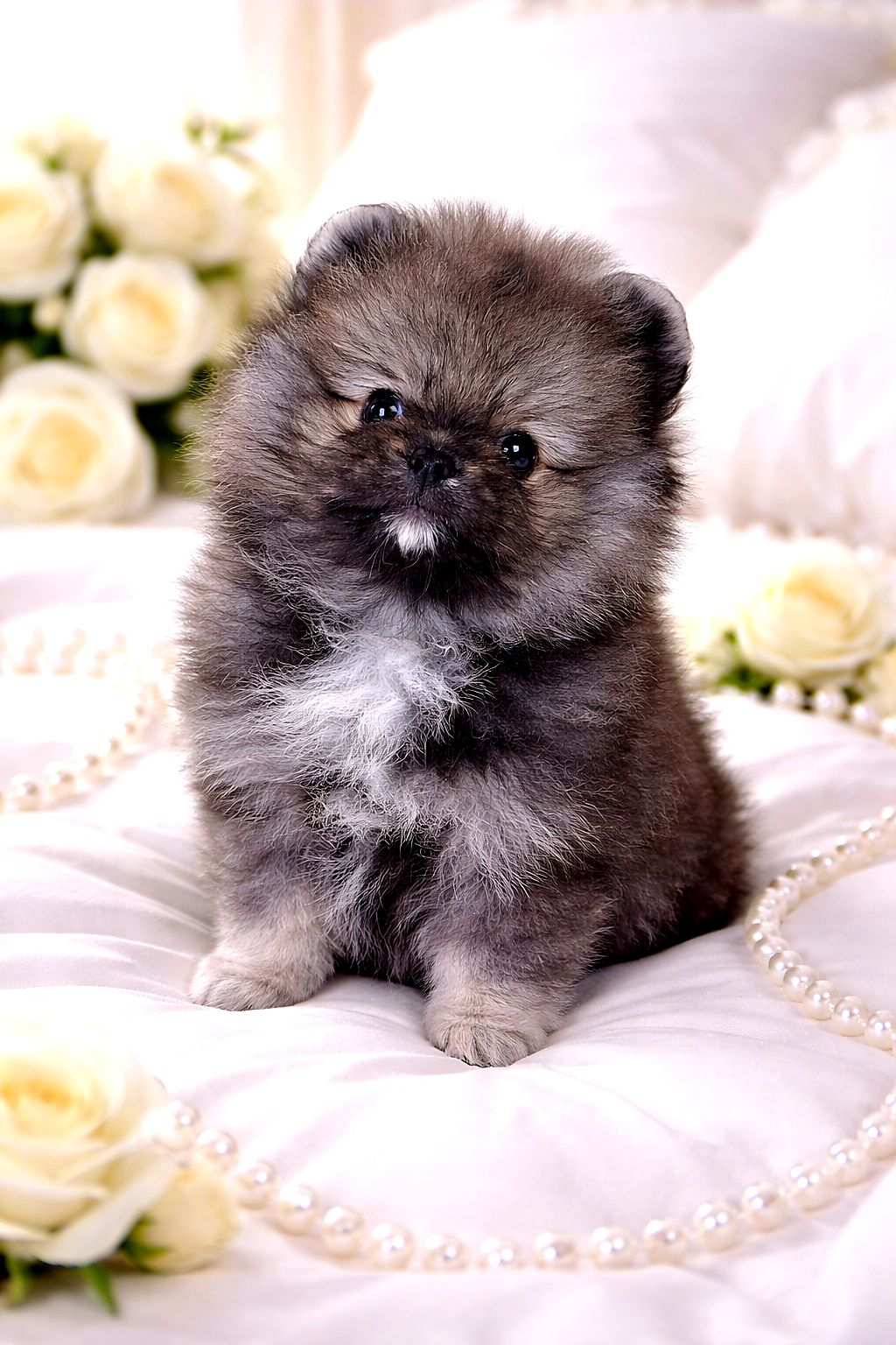 Неймовiрний красунчик!