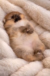 Чарiвна красуня!