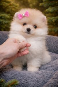 Найгарнiша красуня!