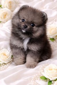 Неймовiрний красунчик!