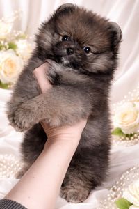 Неймовiрний красунчик!