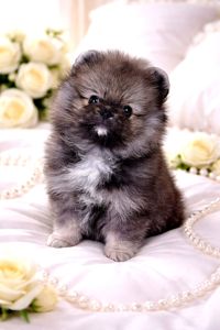 Неймовiрний красунчик!