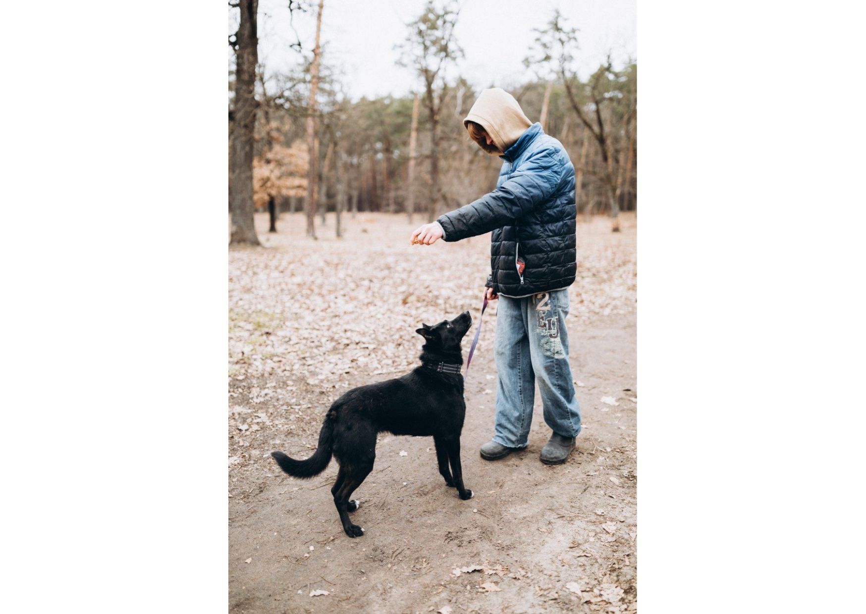 Неймовірна дівчинка Діна виглядає своїх людей