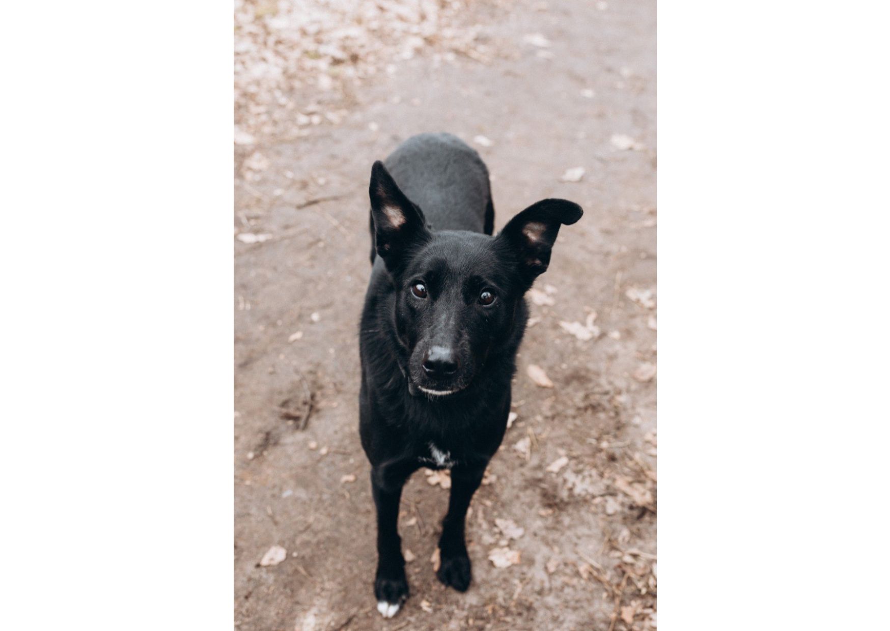 Неймовірна дівчинка Діна виглядає своїх людей