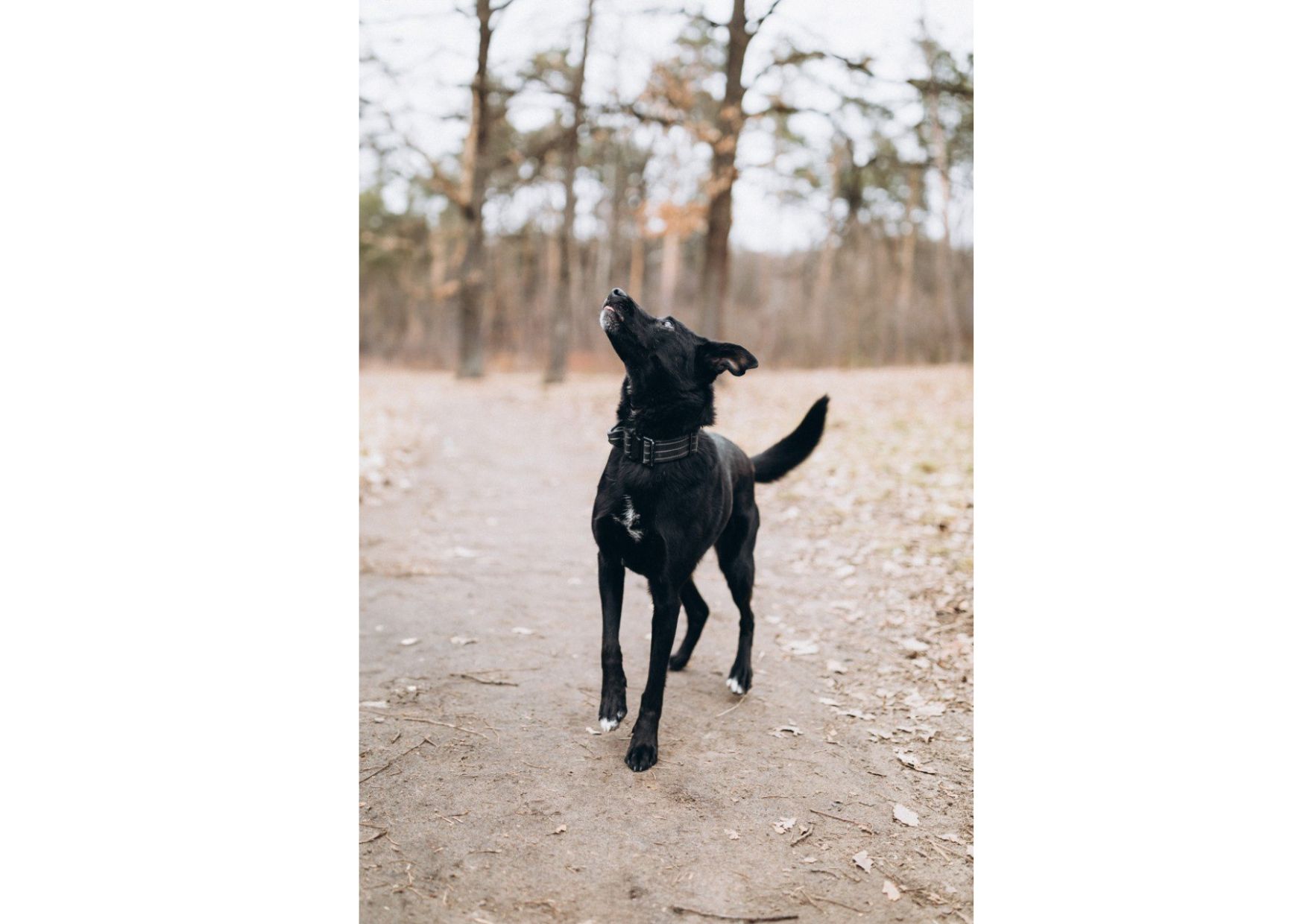 Неймовірна дівчинка Діна виглядає своїх людей