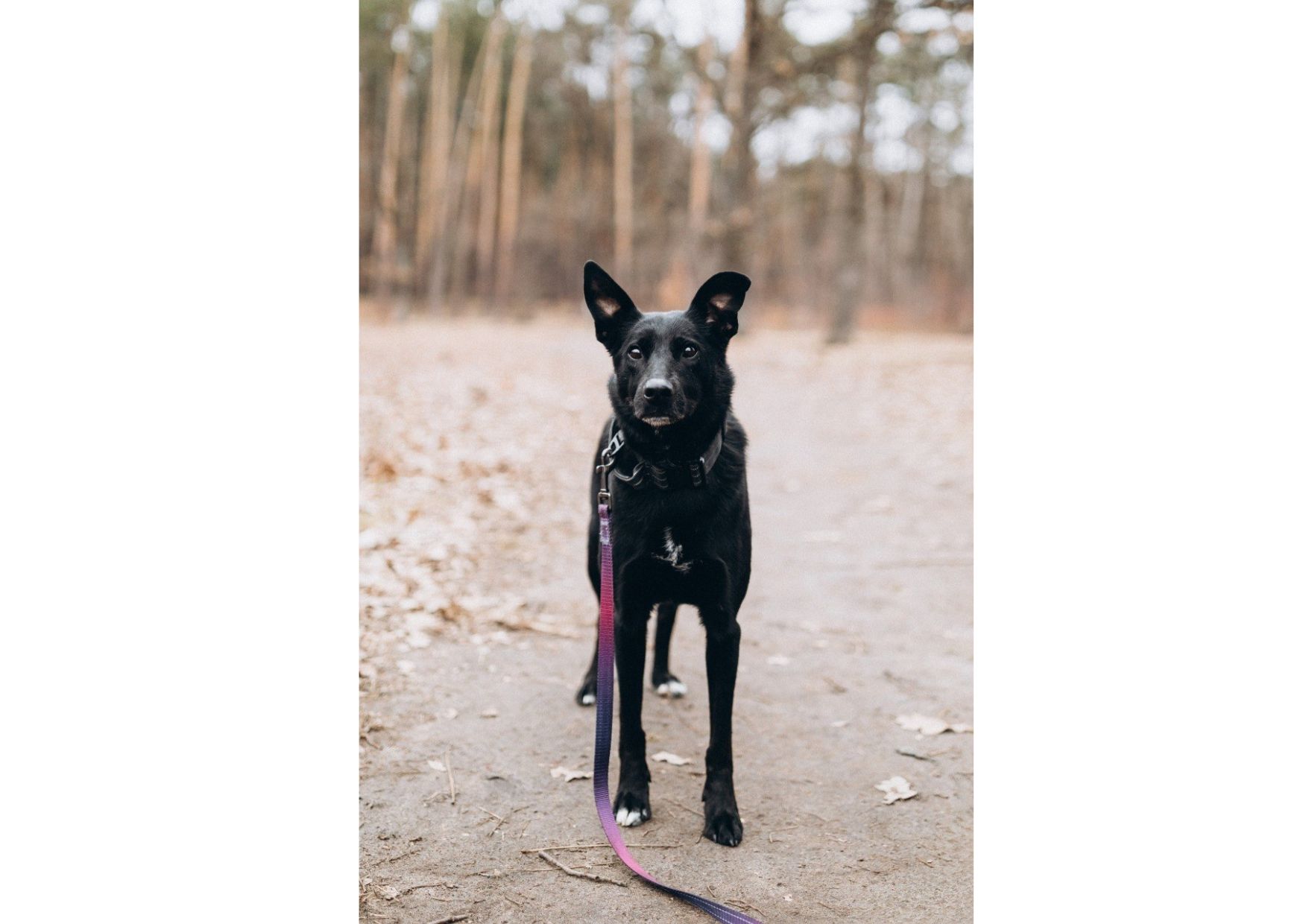 Неймовірна дівчинка Діна виглядає своїх людей