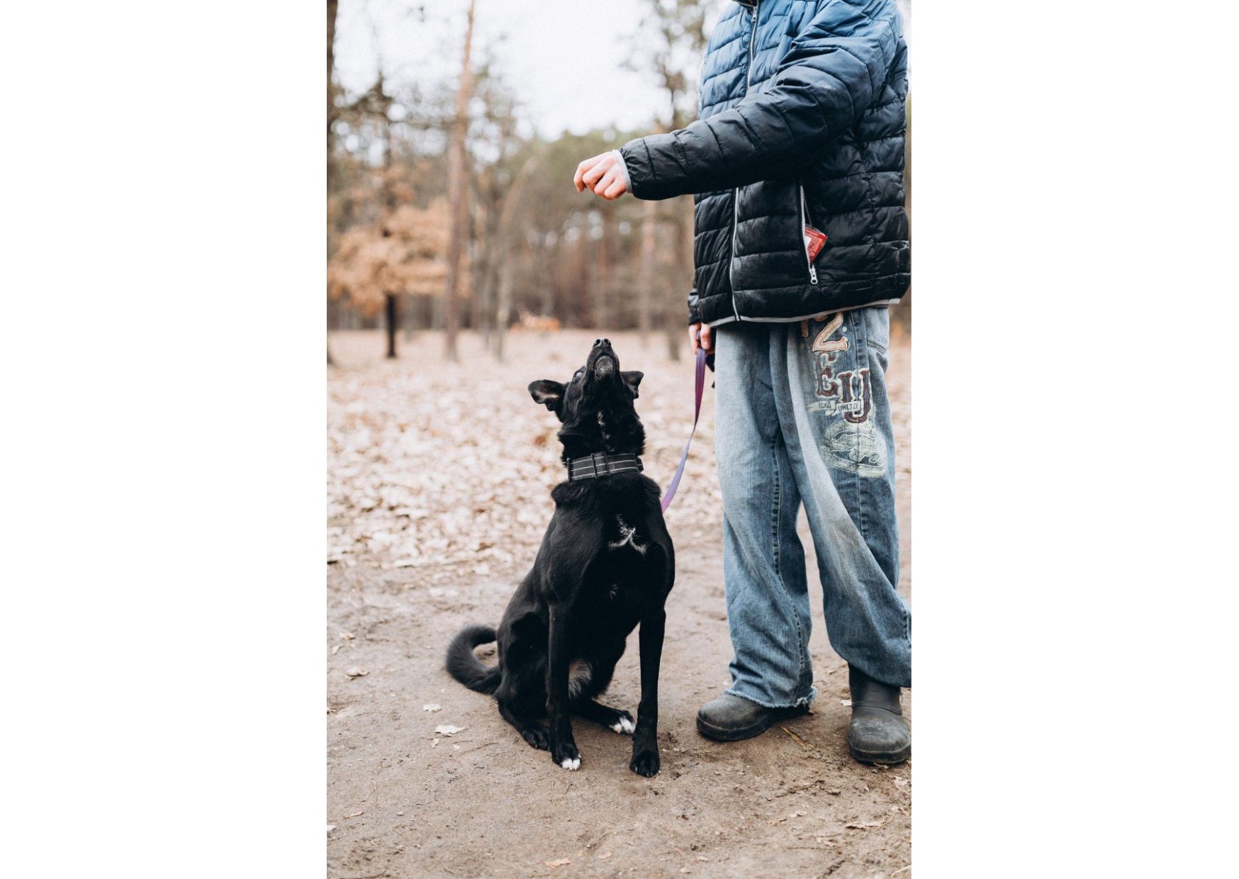 Неймовірна дівчинка Діна виглядає своїх людей