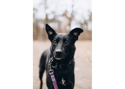 Неймовірна дівчинка Діна виглядає своїх людей