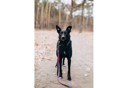 Неймовірна дівчинка Діна виглядає своїх людей