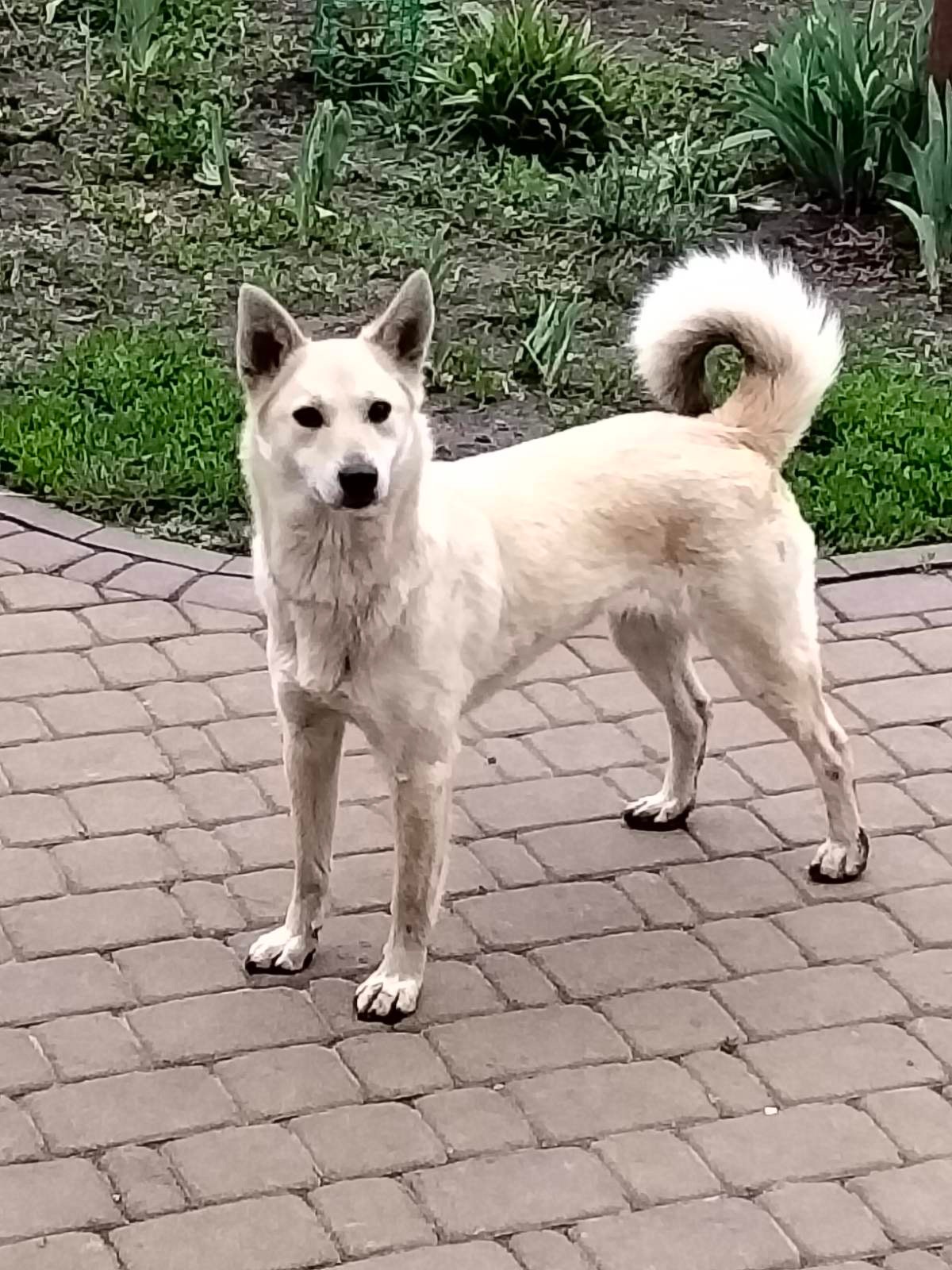 Дівчинка з нори