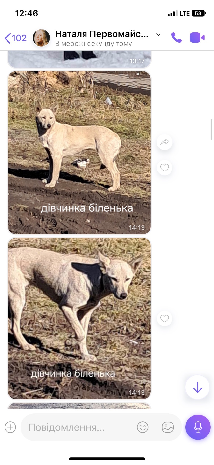 Дівчинка з нори