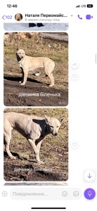 Дівчинка з нори