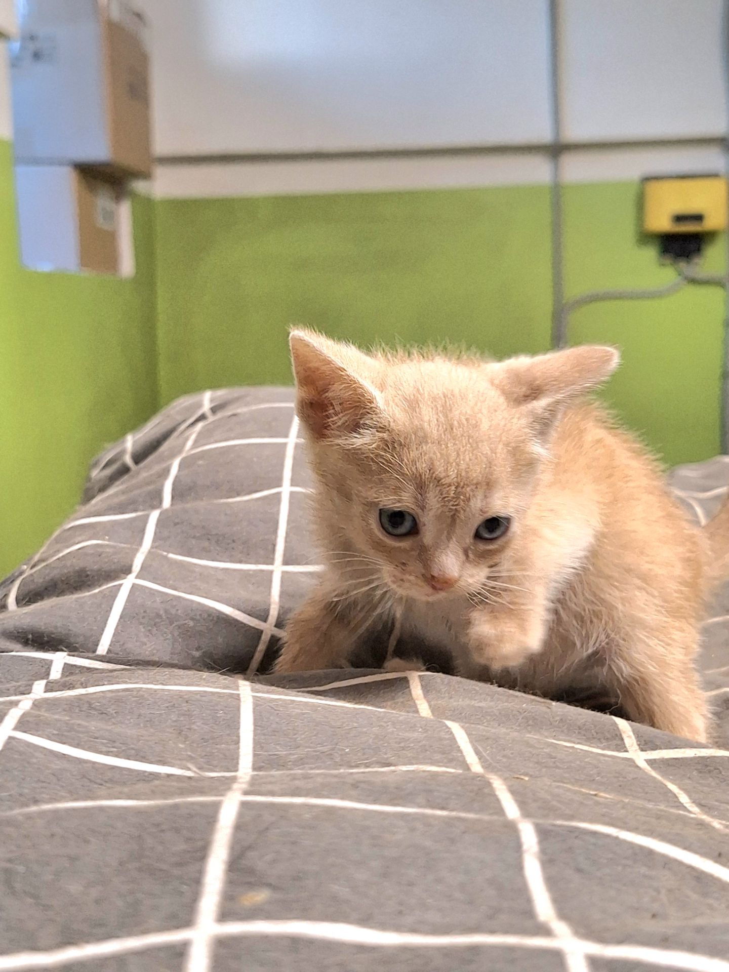 Еля, 2 місяці