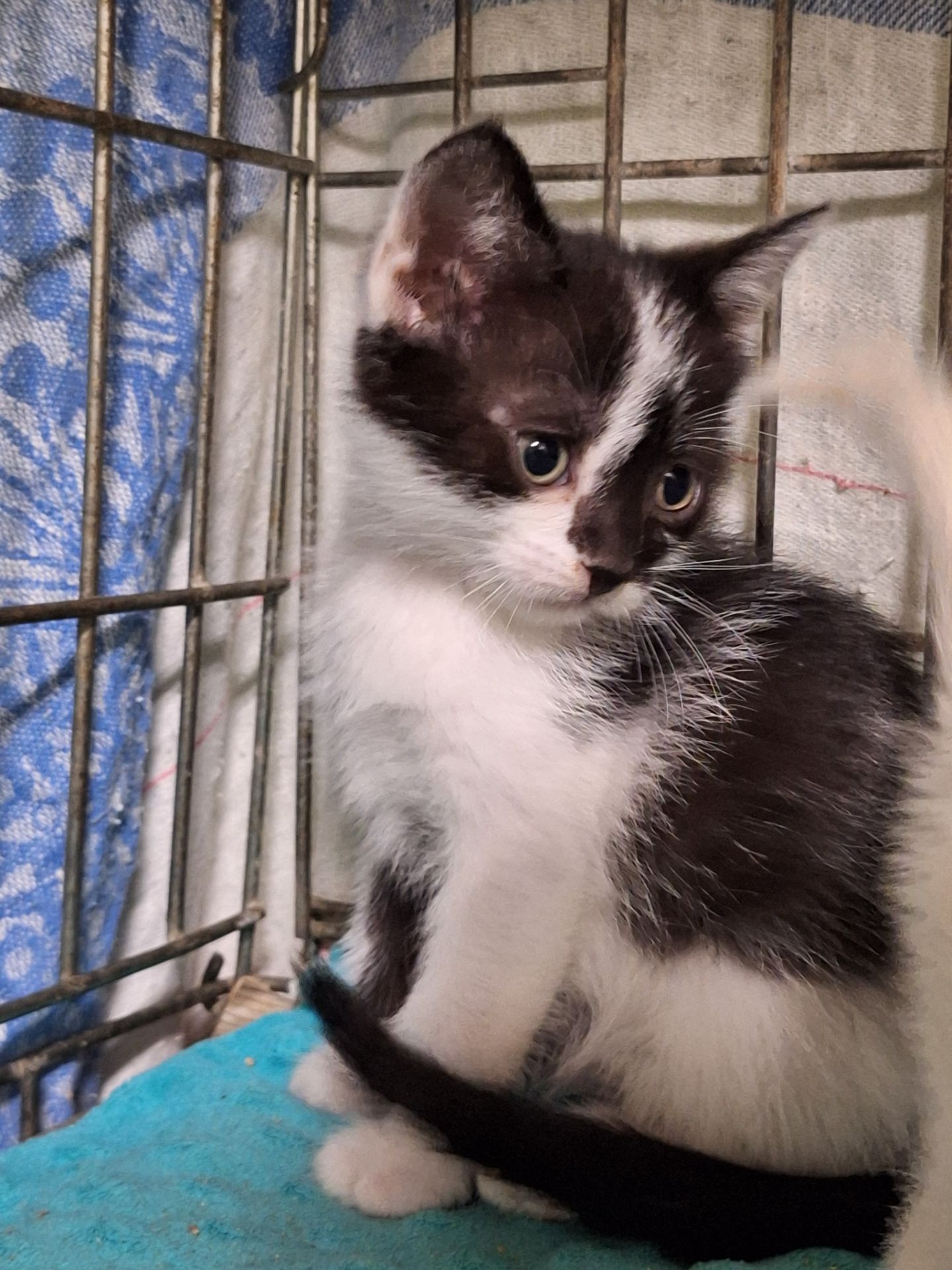 Ешлі, 2 місяці