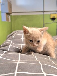 Еля, 2 місяці
